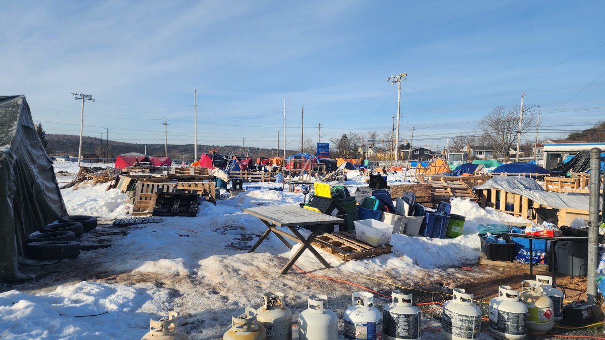 Halifax decided to close five of its 11 designated encampment sites where unhoused people had been living in tents, including the ballfield in Lower Sackville.