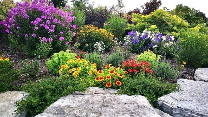 Hope grows for Stouffville garden amid cenotaph, armoured tank ...