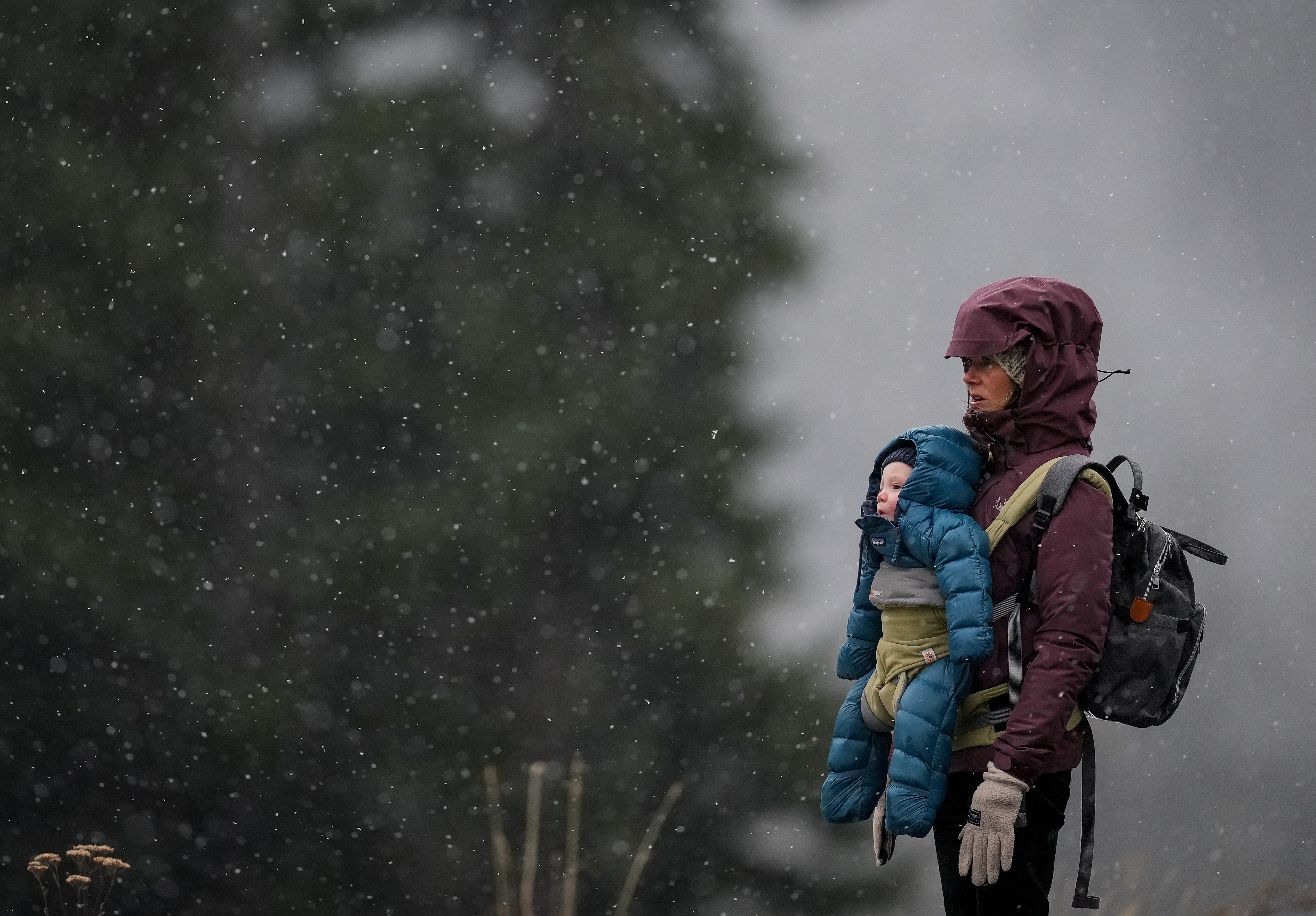 Нарастващите разходи за живот изглежда намаляват раждаемостта в Канада която