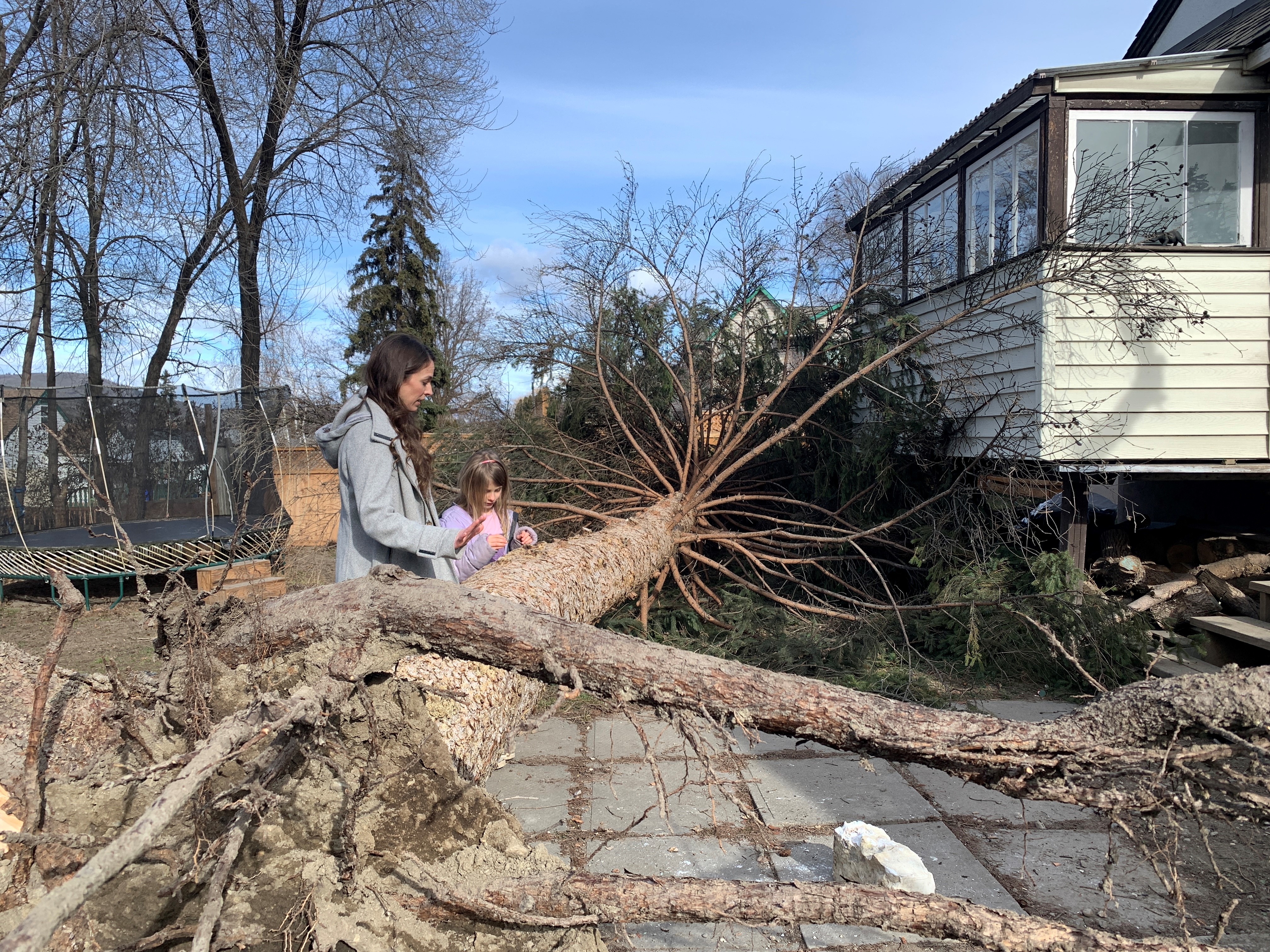 В неделя следобед осемгодишната Адели Ковач си играеше в задния