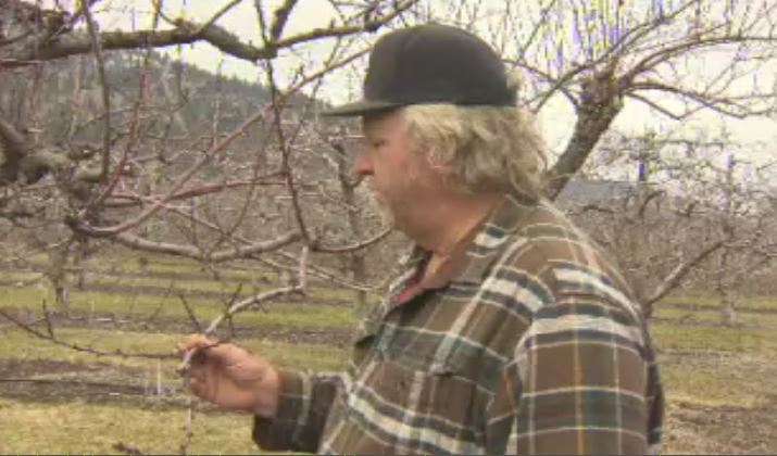 Orchardist Al Gatzke said better water management is needed to help farmers get through droughts. 