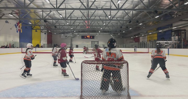 Малката хокейна асоциация в района на Монреал е домакин на благотворителен турнир по хокей