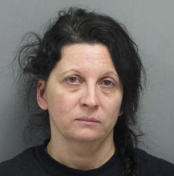 Liz Golyar poses for her mugshot.