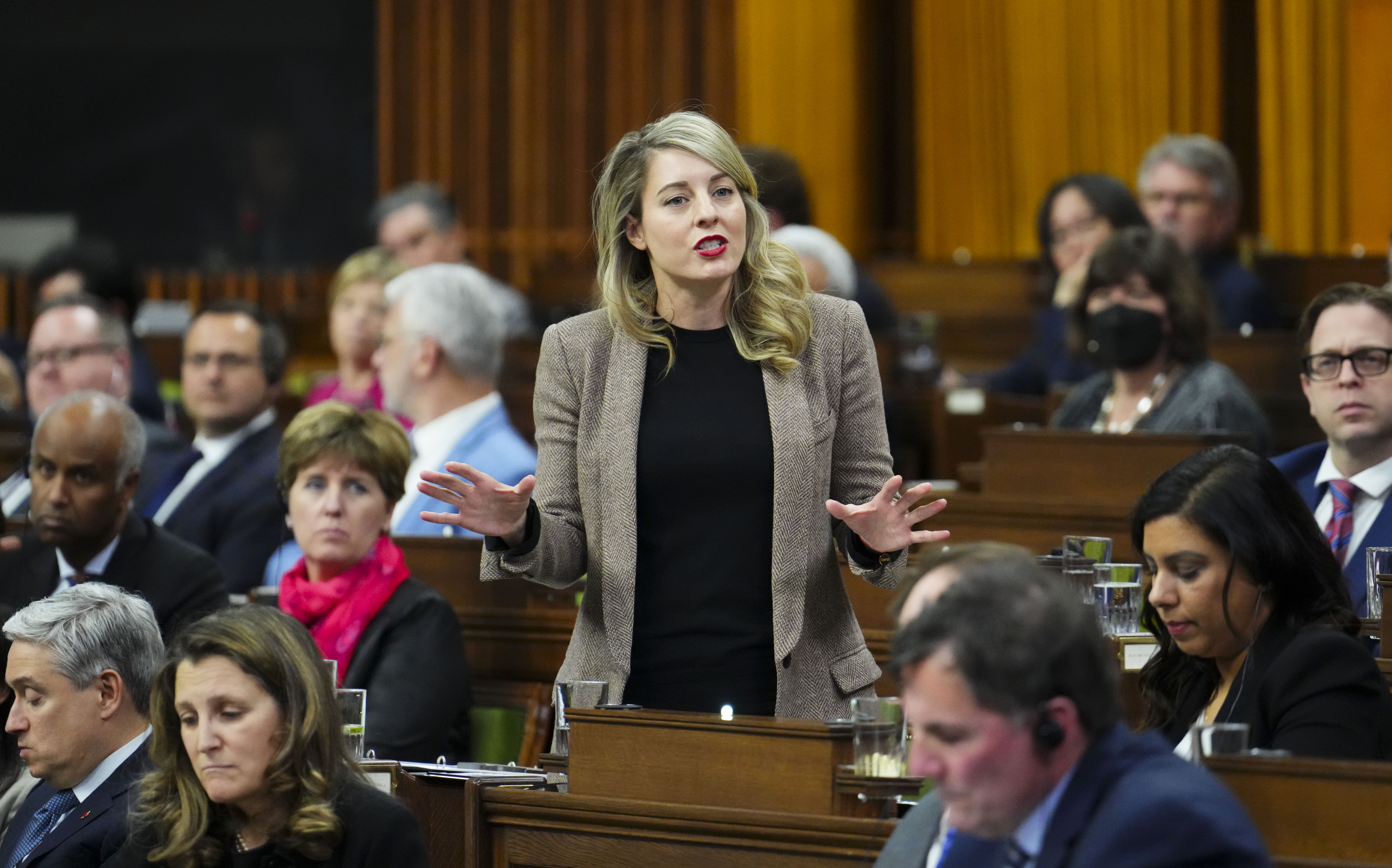 Министърът на външните работи Мелани Джоли казва че военният съюз