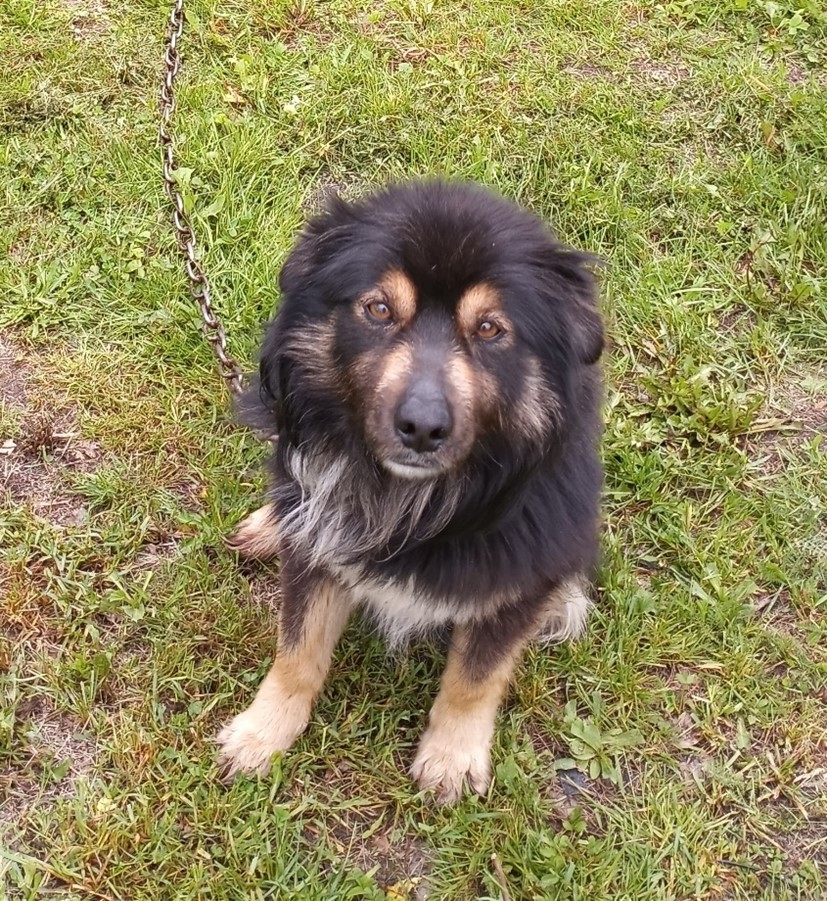 Двама Мирамичи N B мъже са получили стотици долари глоби и