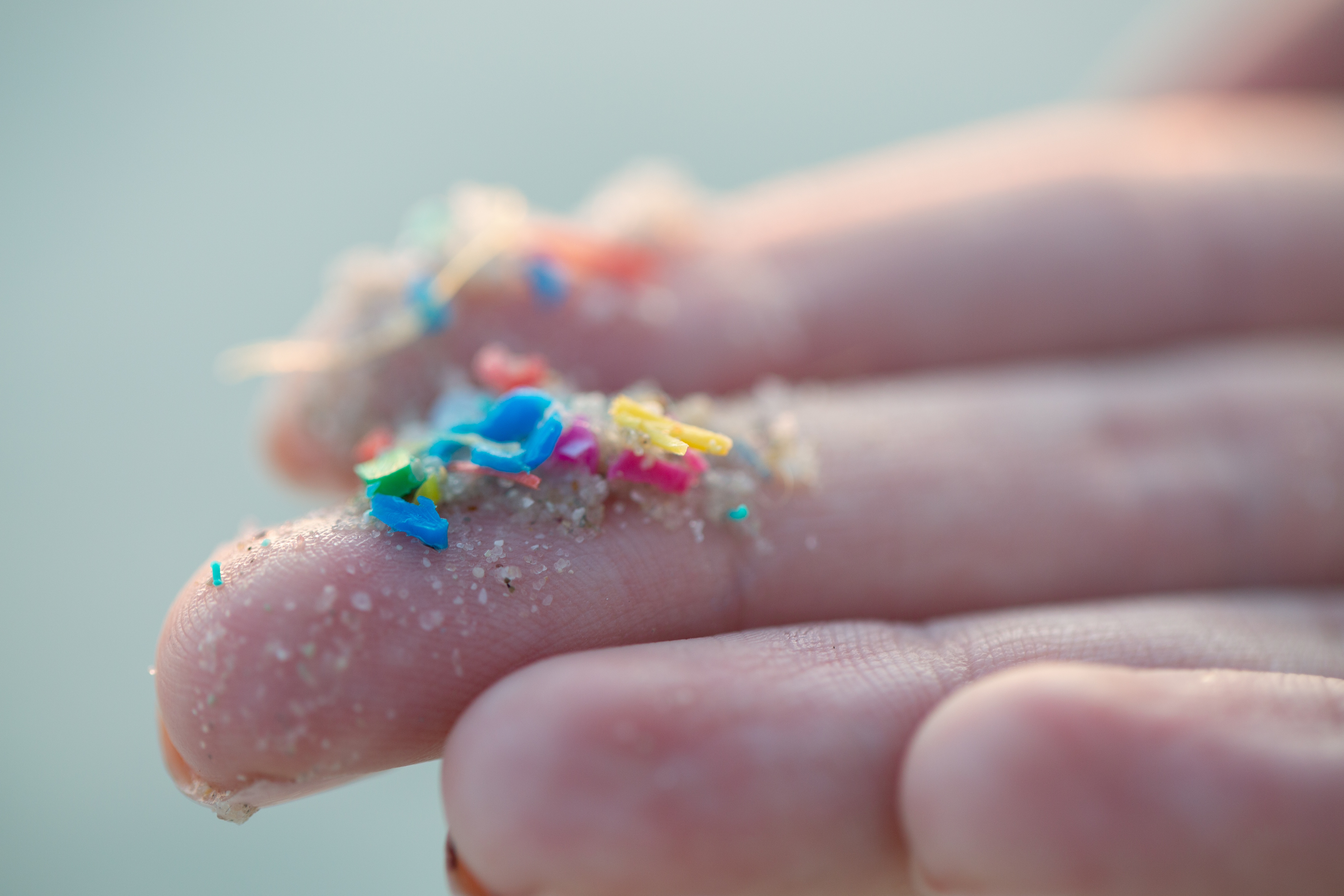 Are microplastics harmful? Health Canada funds research on potential risks