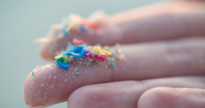 Вредна ли е микропластмасата? Health Canada финансира изследване на потенциалните рискове
