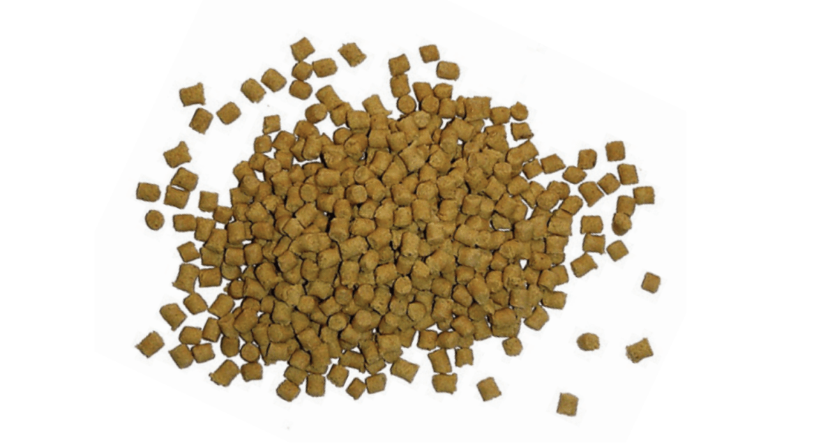 picture of pigeon kibble