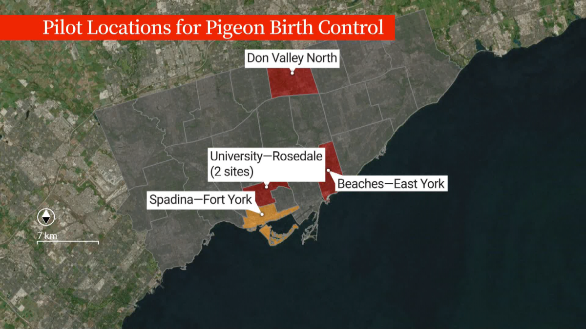 Four locations, in three Toronto wards, already have the feeders installed. A fourth ward -Spadina Fort York – will be added later this month.