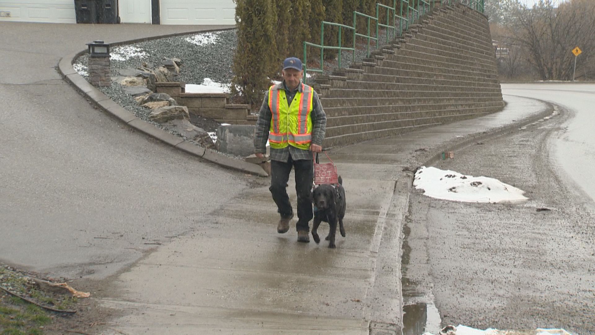 Service dog leads blind senior from Vernon, B.C. back home after stranded by taxi