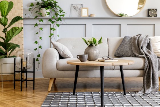 Scandinavian concept of living room interior with design sofa, coffee table, plant in pot, flowers, carpet, plaid, pillow, shelf, decoration and personal accessories in modern home staging.