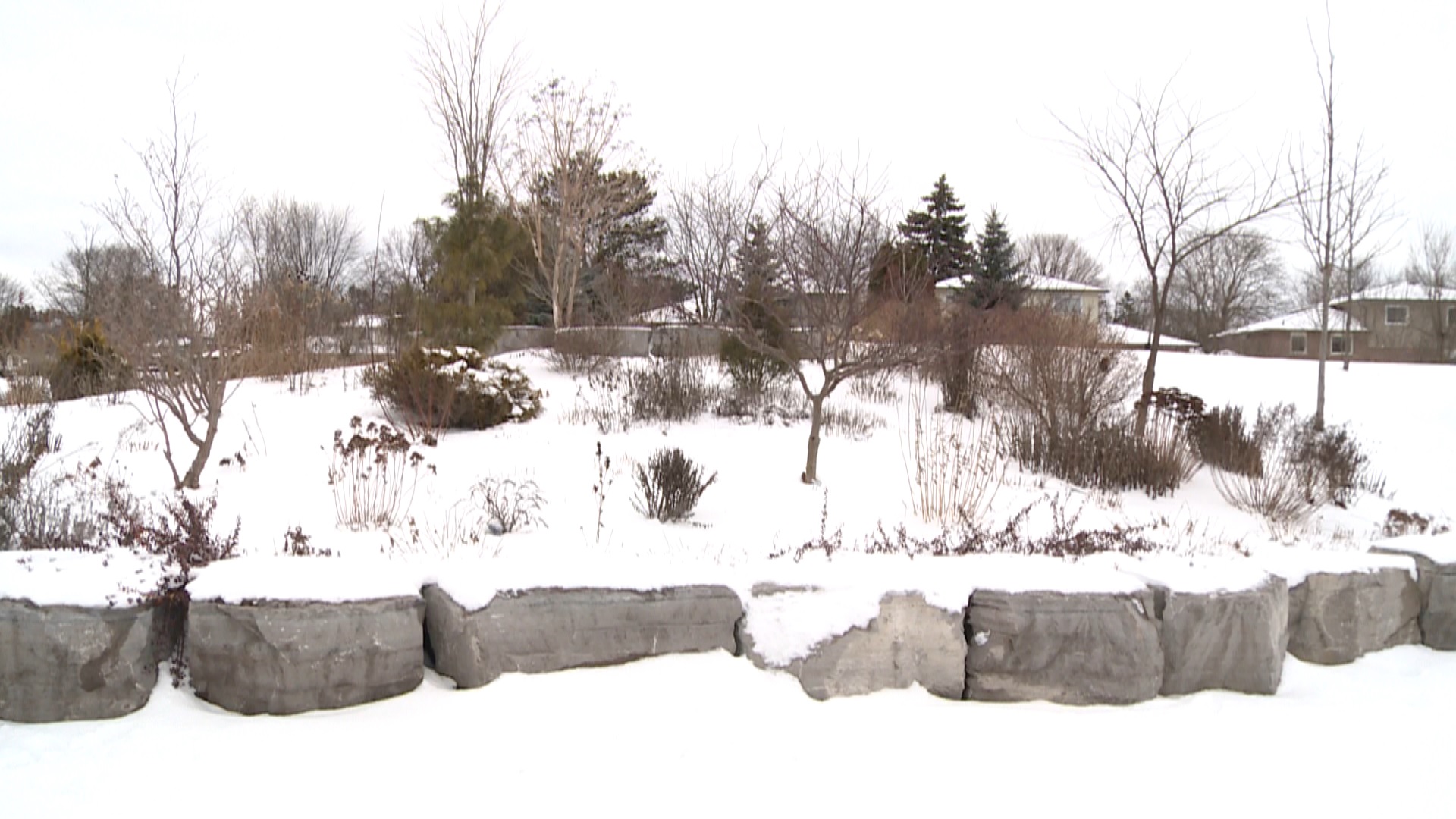 Слънчевата светлина която проби през облаците в Стоуфвил блестеше върху