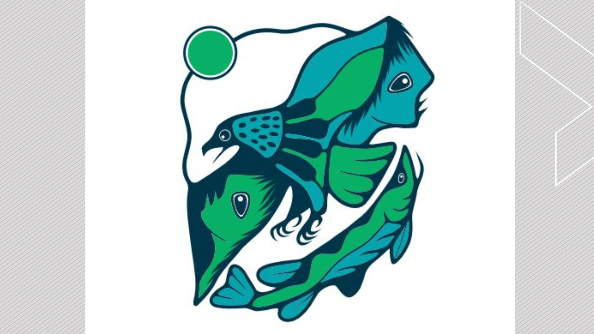 Пъстър орел ще украси Gidigaa Migizi College на университета Trent