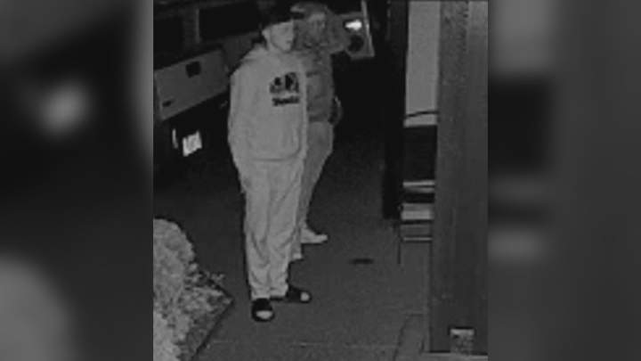 Video released of 2 suspects in B.C. homeowner assault - BC | Globalnews.ca