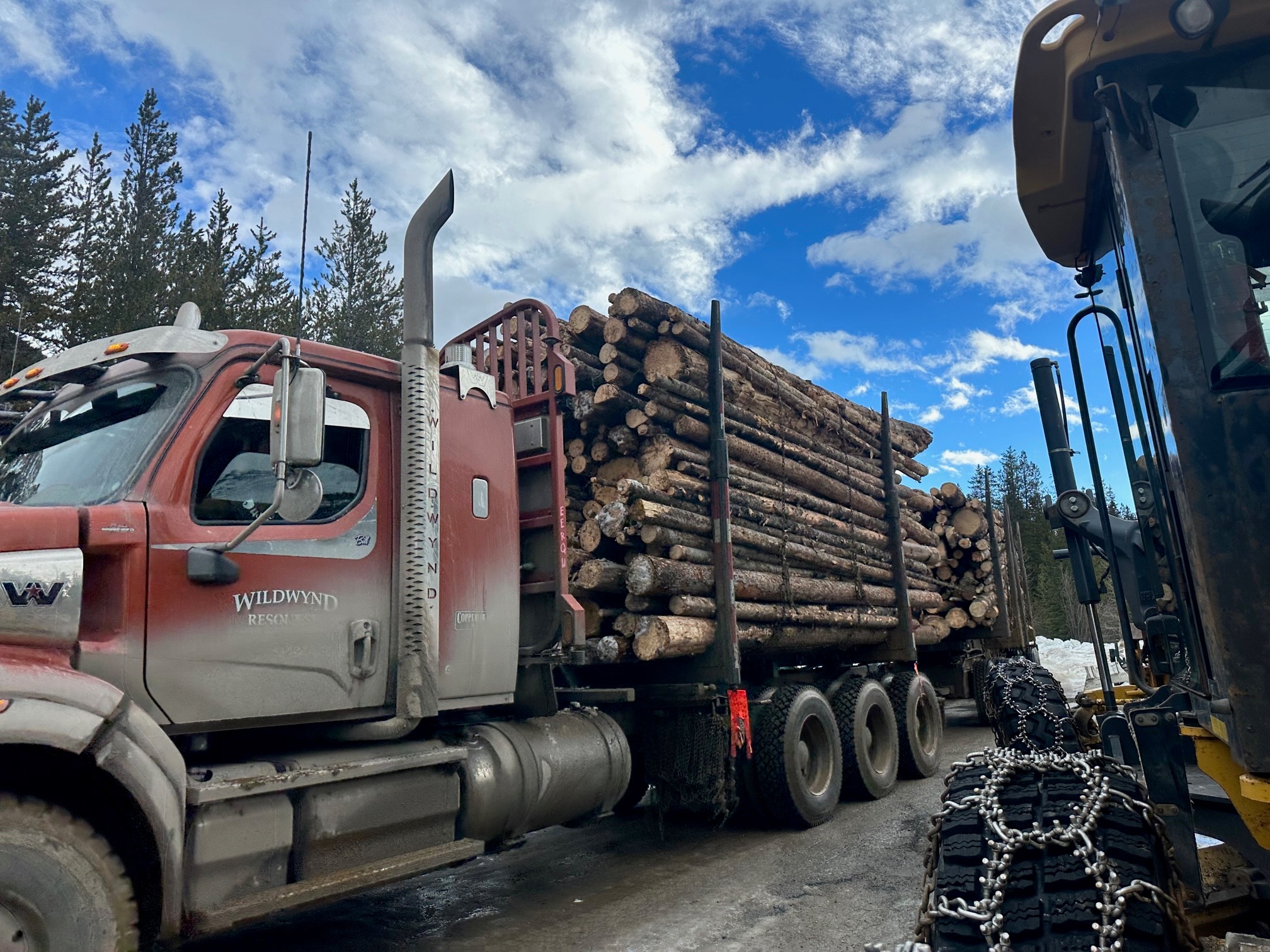 Diminished snowpack in Rocky Mountains raises wildfire concerns