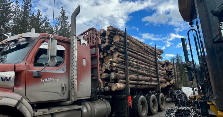 Намаляването на снежната покривка в Скалистите планини поражда опасения за горски пожари