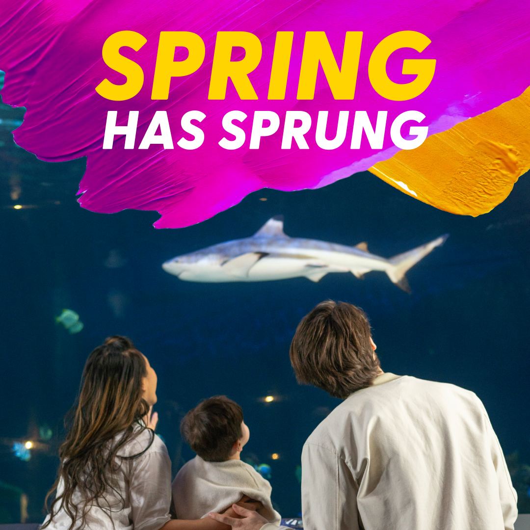 Global BC sponsors Spring Break at Vancouver Aquarium GlobalNews Events