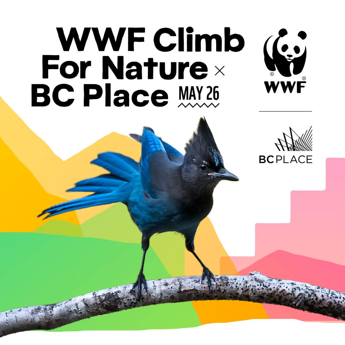 The WWF Climb for Nature x BC Place - image