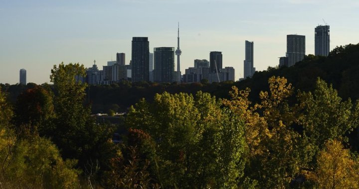 Половин милион души в Торонто нямат семеен лекар, казва колежът
