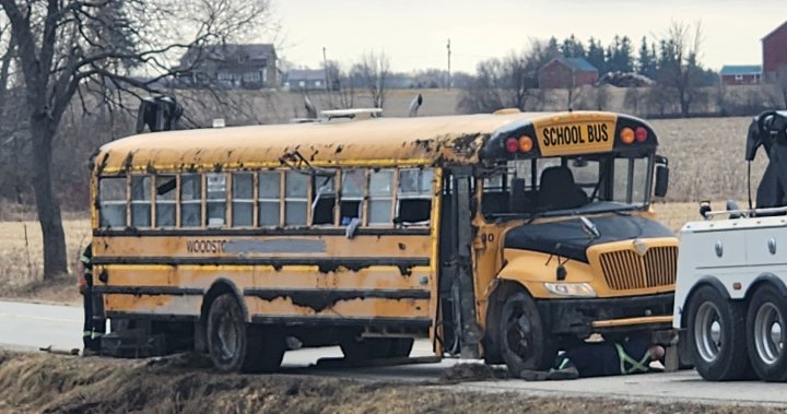 Трябва ли училищните автобуси да имат предпазни колани? Уудсток, Онтарио катастрофата предизвиква нови въпроси