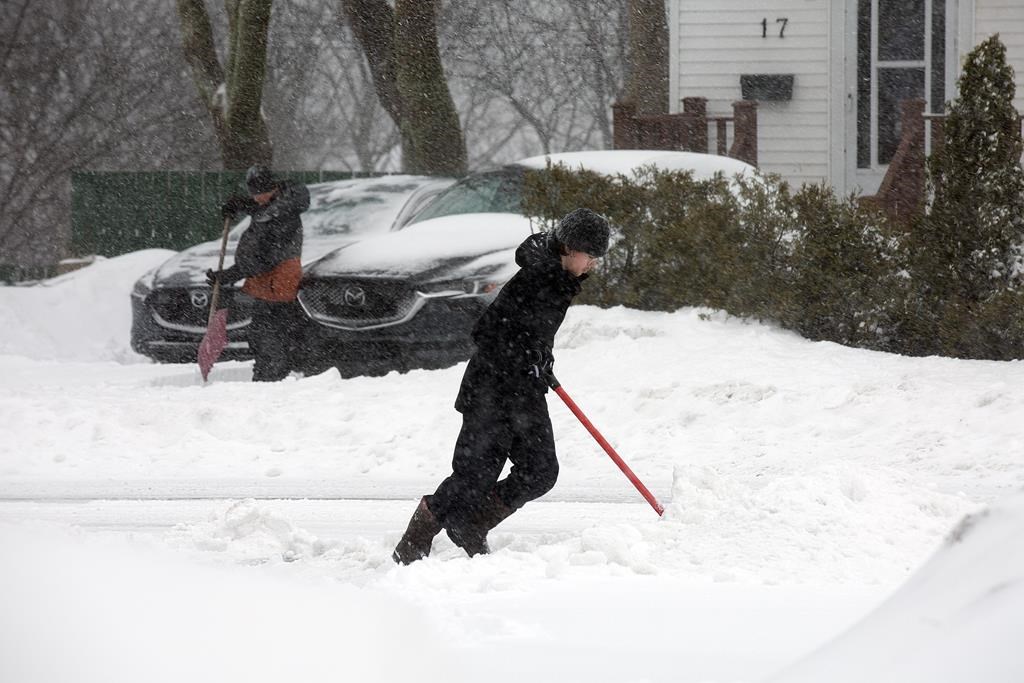 March madness: Parts of N.B. could get up to 40 cm. of snow in weekend storm