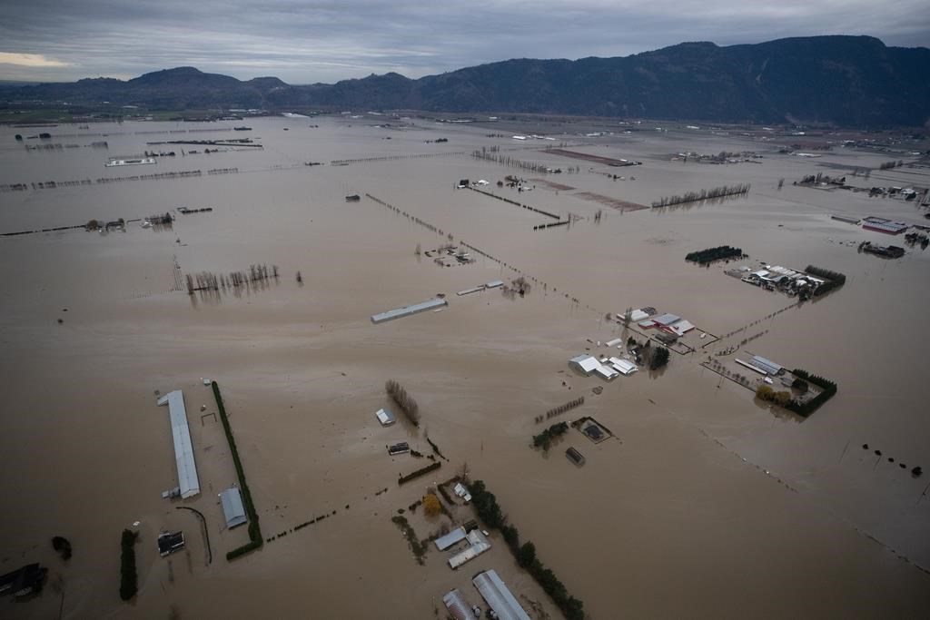 ‘Need this funding now’: B.C. MP calls for federal disaster aid for Fraser Valley