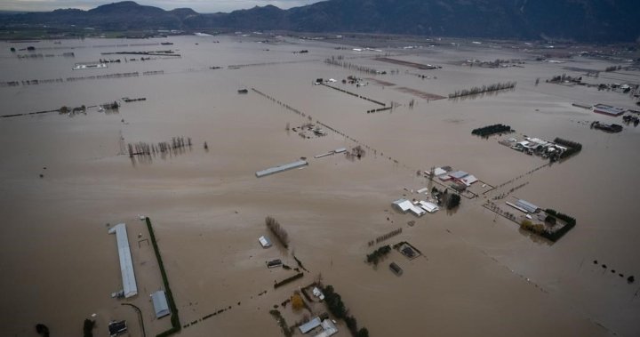 „Имам нужда от това финансиране сега“: B.C. Депутатът призовава за федерална помощ при бедствия за долината Фрейзър