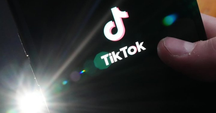 Ottawa says it ordered national security review of TikTok before U.S. House vote