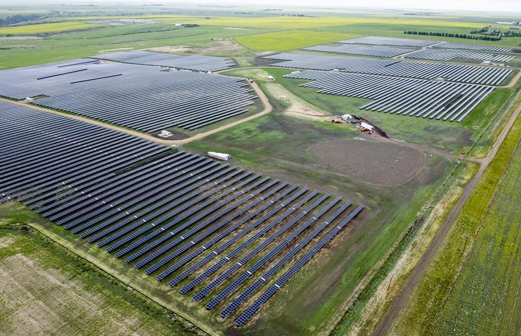 Critics say Alberta renewables report contradicts government proposals for industry