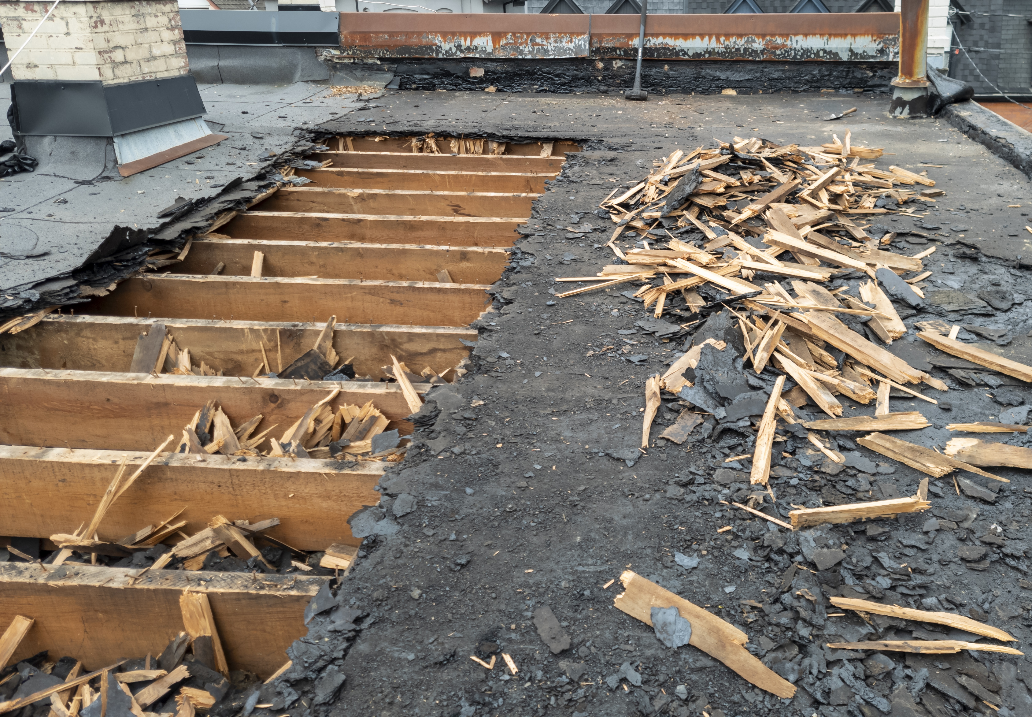 Възрастен гражданин в центъра на Торонто казва че иска да