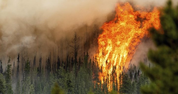 Горски пожари 2024: Канада се „подготвя за най-лошото“ след рекорден сезон миналата година