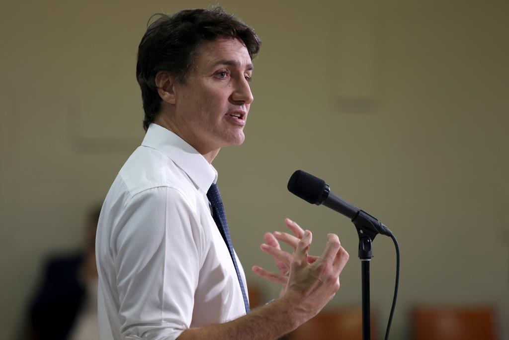 Trudeau ‘open’ to other carbon pricing systems as premiers set to testify