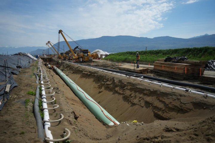 Calgary Chamber says federal emissions cap could hurt value of Trans Mountain pipeline