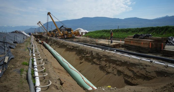 Calgary Chamber says federal emissions cap could hurt value of Trans Mountain pipeline