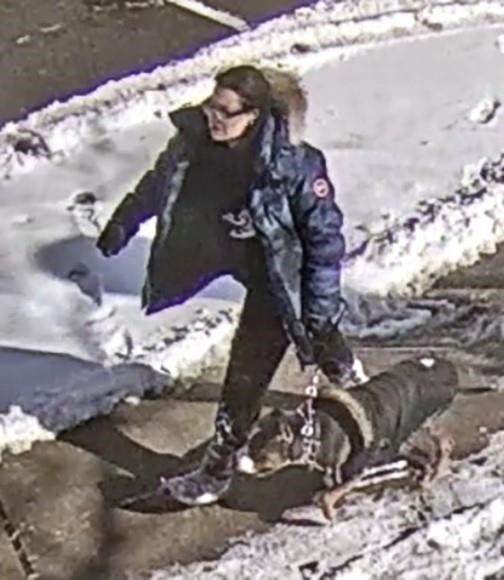 Woman charged in Toronto dog attack previously dee
