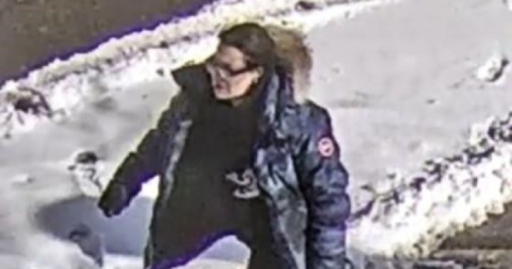 Жена от Торонто, изправена пред множество обвинения в нападение на
