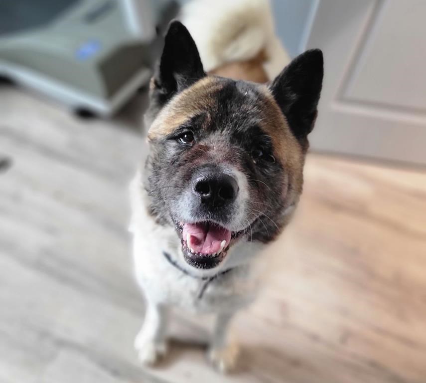 Страхотното събиране дърпа сърцата Моментът в който мъж от Южна Алберта