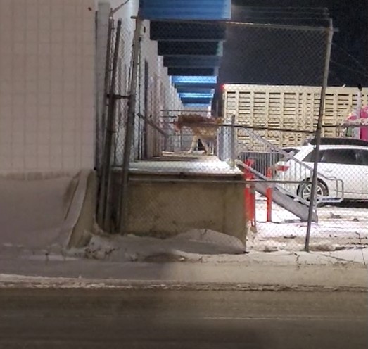 Собствениците на ферма в региона Уестман в Манитоба са обвинени