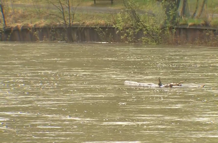 Проучване на стойност 5 милиона долара ще проучи дали е