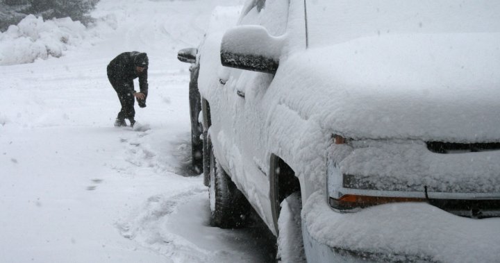 Пролетта пристига в Торонто, последвана от предупреждения за снеговалежи