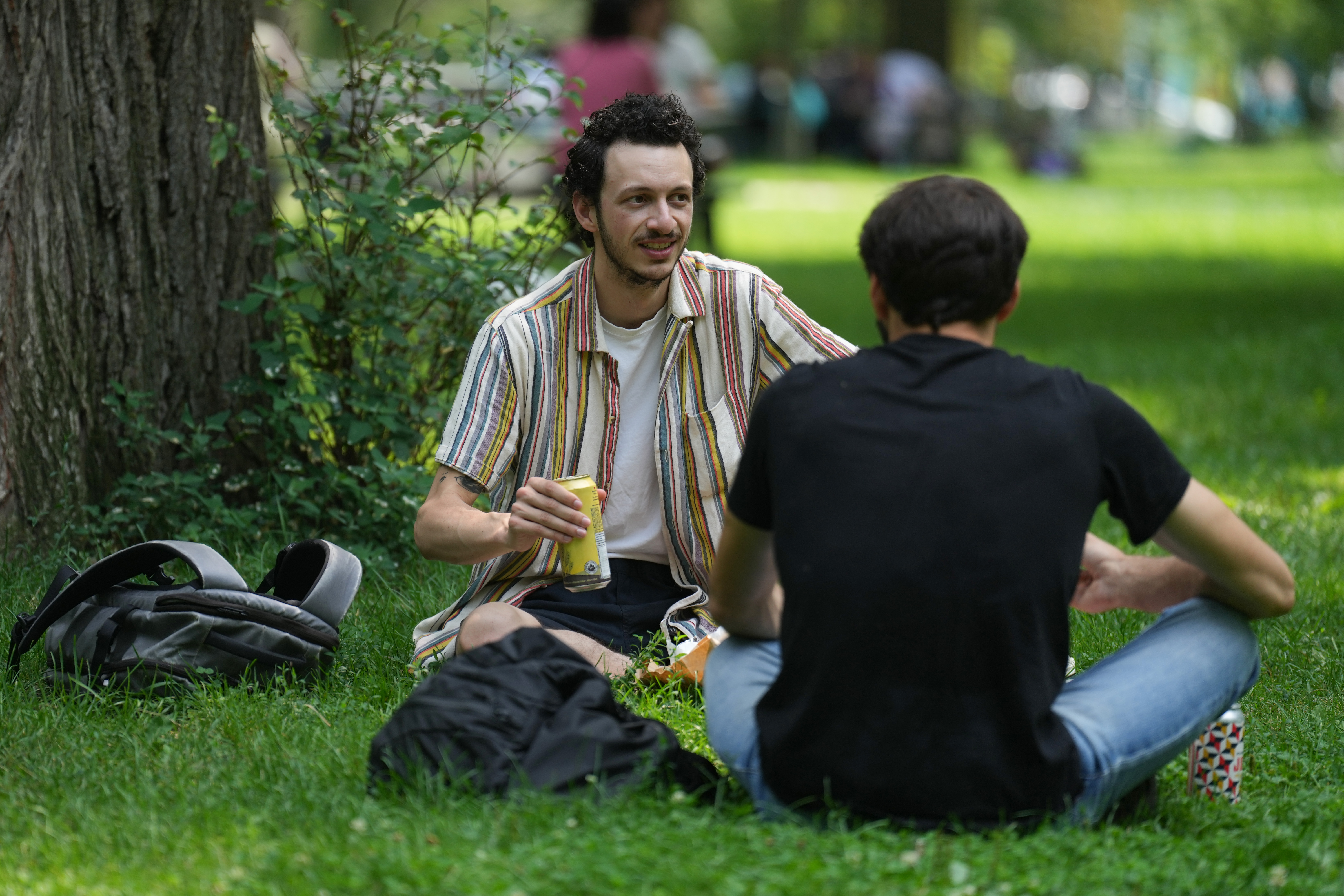 It could become easier to drink alcohol in Toronto parks. Here’s what’s changing