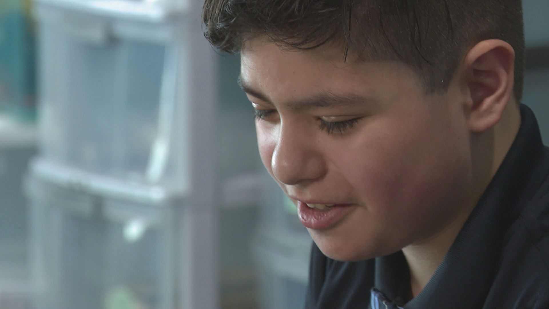 За много семейства успехът през дадена учебна година може да