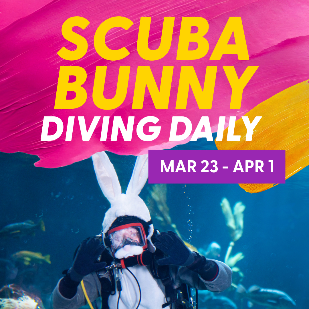 Easter at Vancouver Aquarium