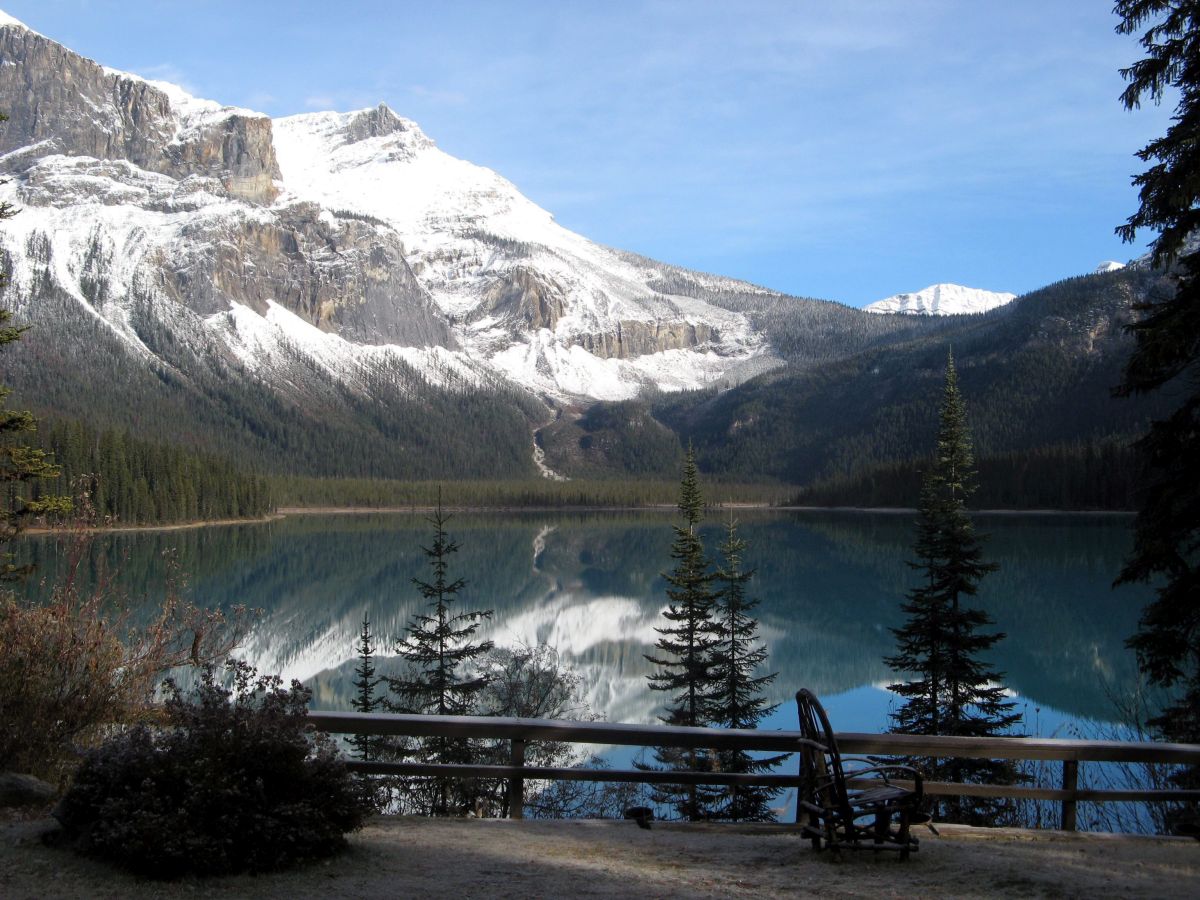 Invasive species lead to access restrictions in national parks in B.C., Alberta