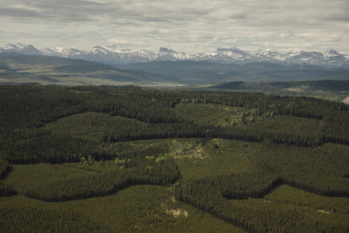 Алберта блокира големи части от провинцията за развитие на възобновяема