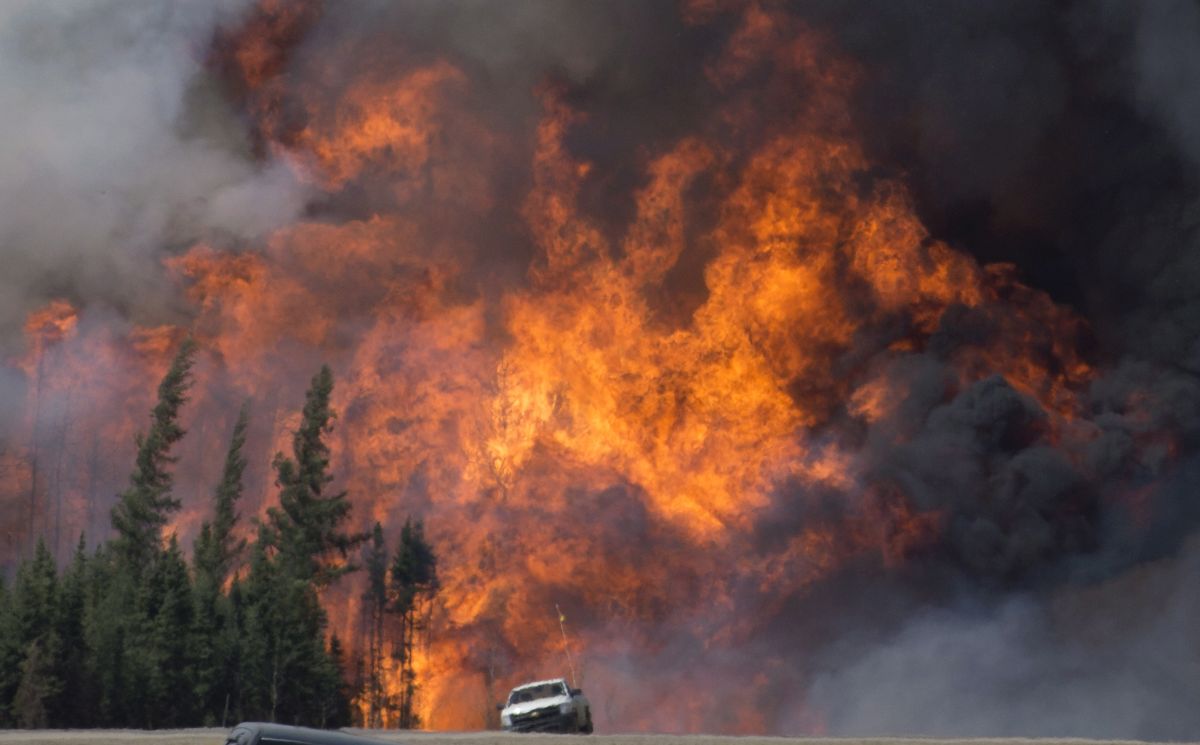 Book about Fort McMurray wildfire shortlisted for Shaughnessy Cohen Prize