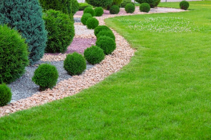 Everything you need to get your lawn ready for spring