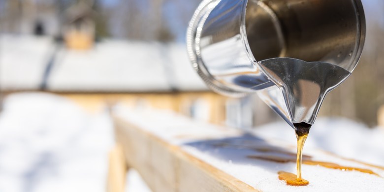 Sticky spot: Canada's maple syrup production hits 5-year low, reserves sink