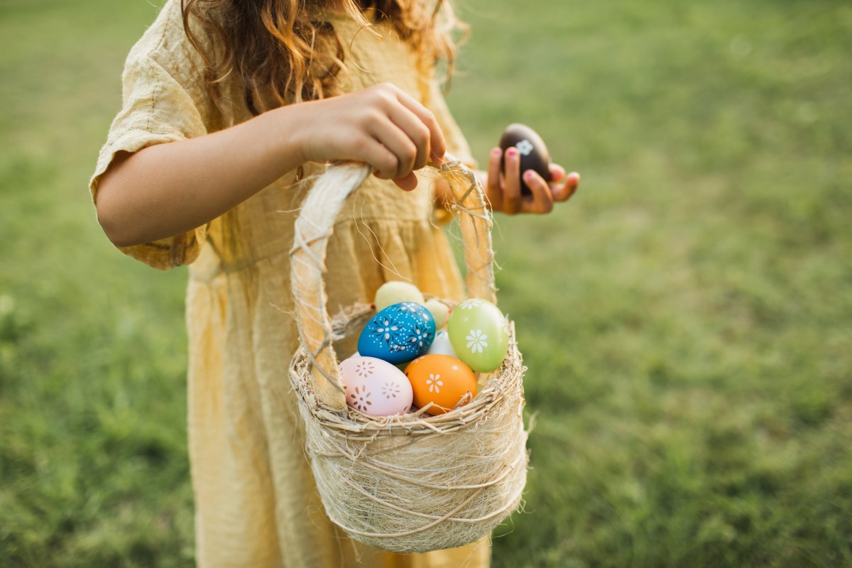 Cute little girl with bunny ears holding an easter egg basket and finding eggs in the grass on green lawn. Little girl wearing fluffy Bunny ears gathering colorful egg in park in wicker basket.