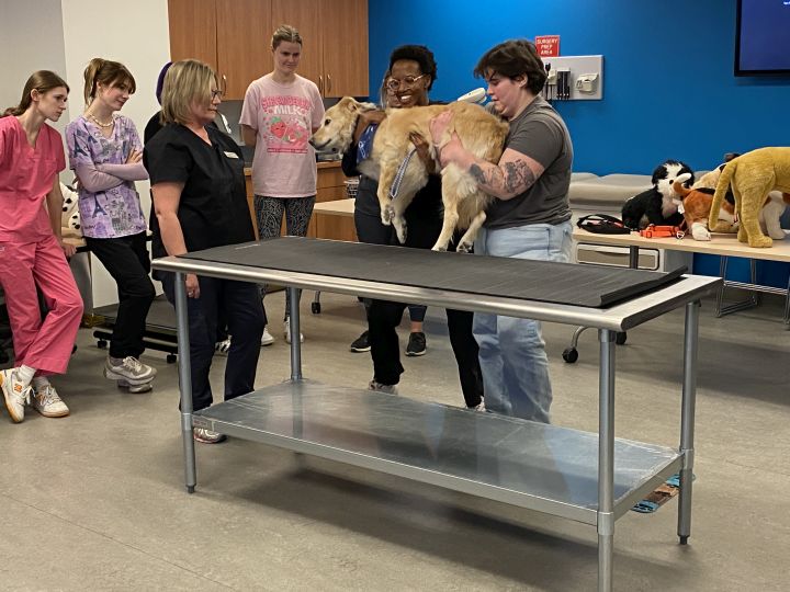 Група студенти от Калгари наистина се радват да посрещнат няколко